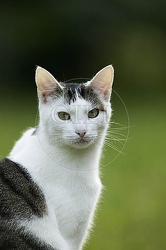 Alle Bilder im Archiv