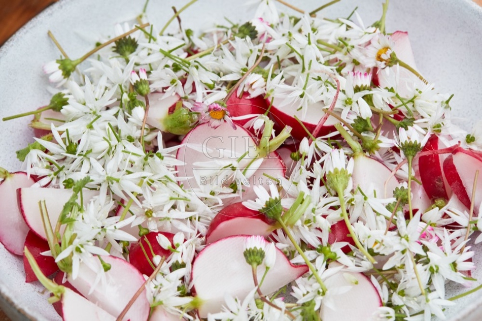 112807 Salat mit Radieschen, Bärlauch und Gänseblümchen