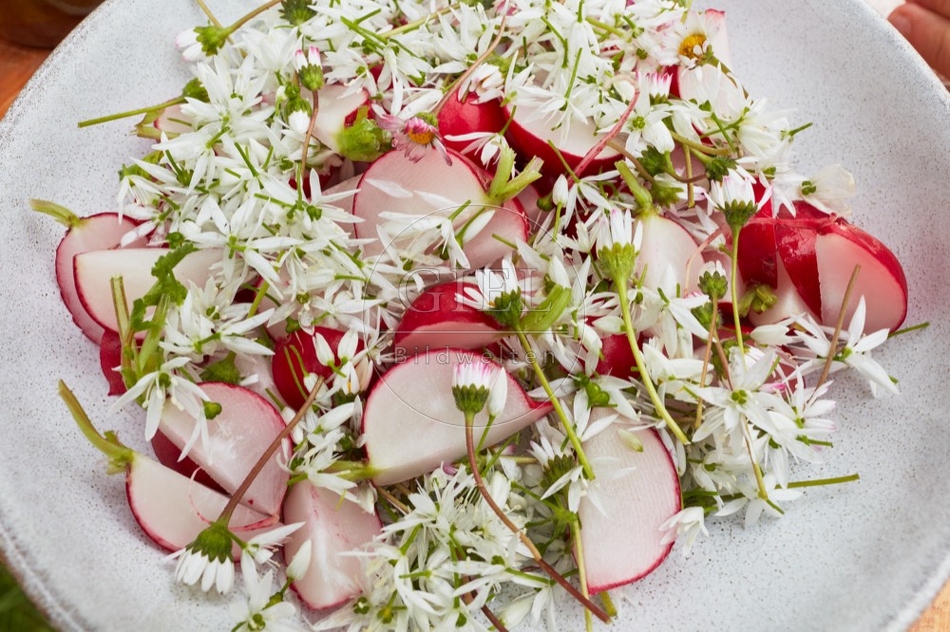 112812 Salat mit Radieschen, Bärlauch und Gänseblümchen