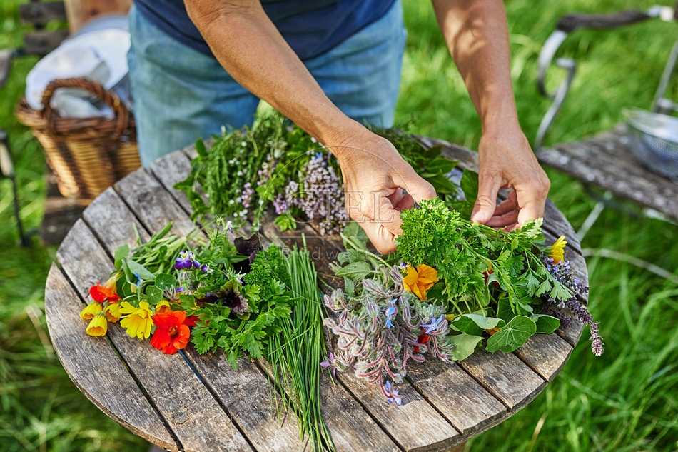 113619 Kräuter und essbare Blüten auf einen Gartentisch