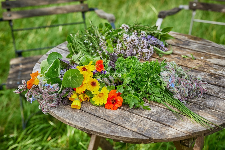 113620 Kräuter und essbare Blüten auf einen Gartentisch