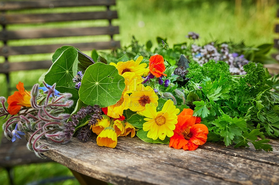 113621 Kräuter und essbare Blüten auf einen Gartentisch