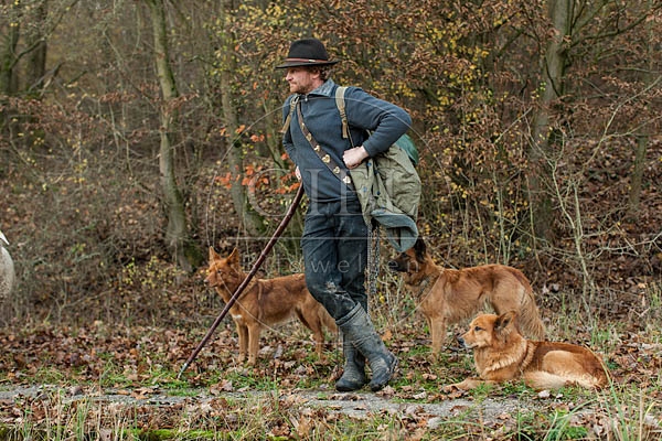 080822 Schaefer, Altdeutsche Huetehunde und Merino Schafe, Schafherde