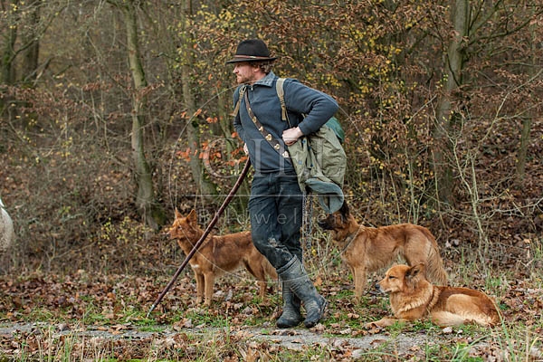 080823 Schaefer, Altdeutsche Huetehunde und Merino Schafe, Schafherde