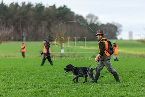 072178 Jaeger und Deutsch Drahthaar auf Treibjagd