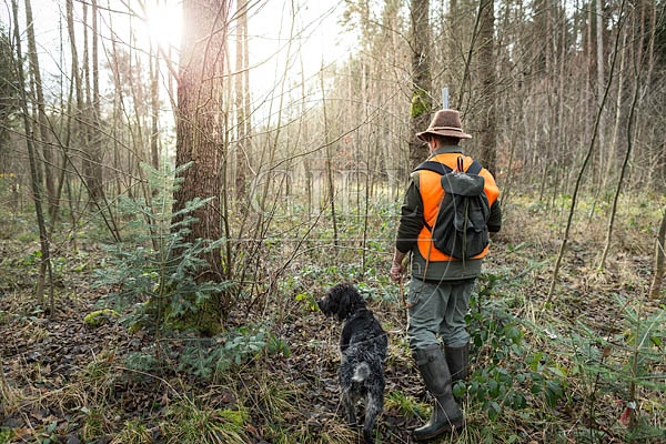 072196 Jaeger und Deutsch Drahthaar auf der Jagd