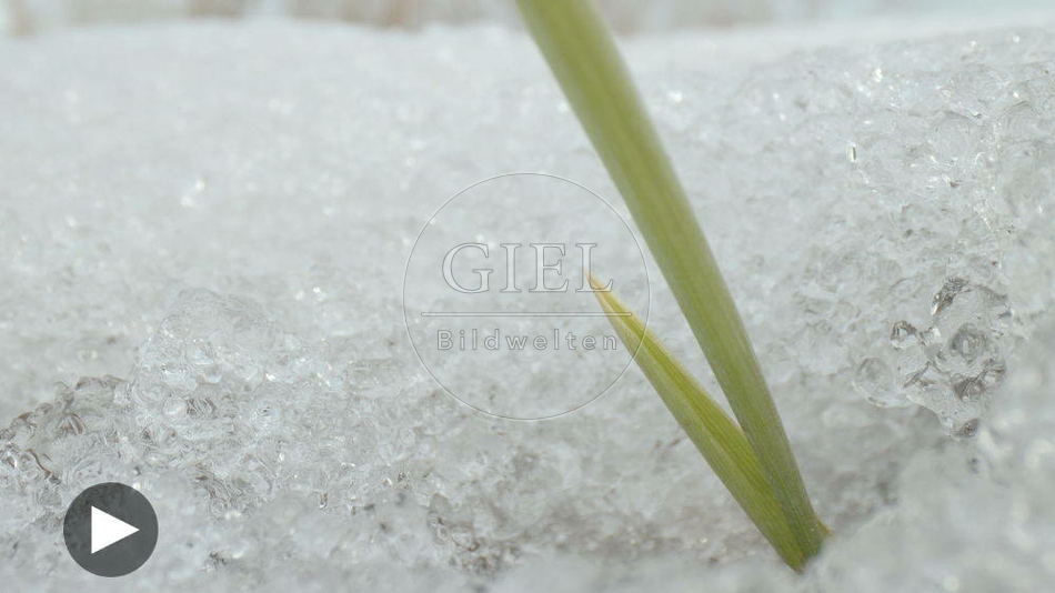 102079 Film-Clip, Schnee im Garten