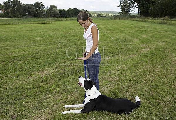 027125 Doggenmischling und Frau