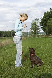 027297 Labrador Retriever Welpe und Frau