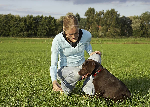 027306 Labrador Retriever Welpe und Frau