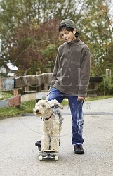 029323 Junge und Lakeland Terrier