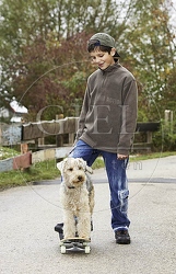 029325 Junge und Lakeland Terrier