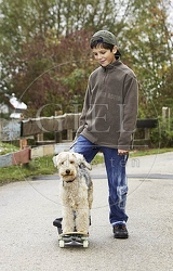 029327 Junge und Lakeland Terrier