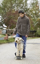 029329 Junge und Lakeland Terrier