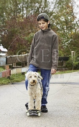 029330 Junge und Lakeland Terrier