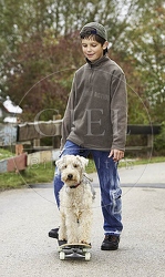029332 Junge und Lakeland Terrier