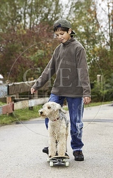 029333 Junge und Lakeland Terrier