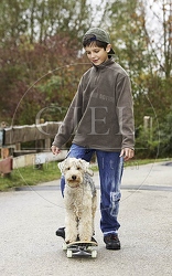 029334 Junge und Lakeland Terrier