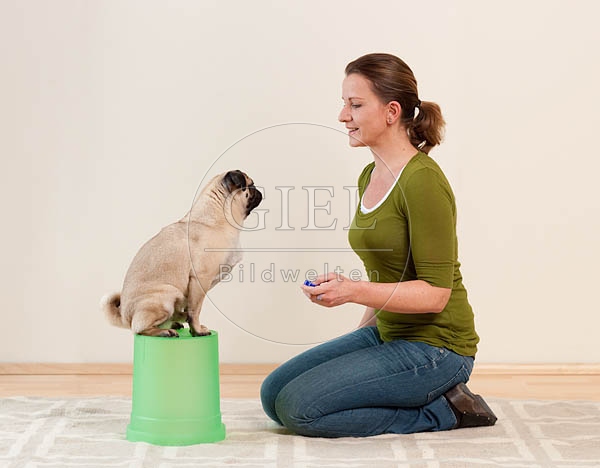 040016 Frau und Mops