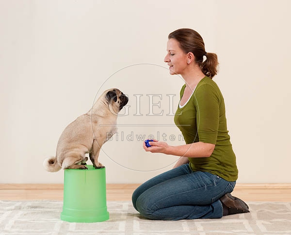 040019 Frau und Mops