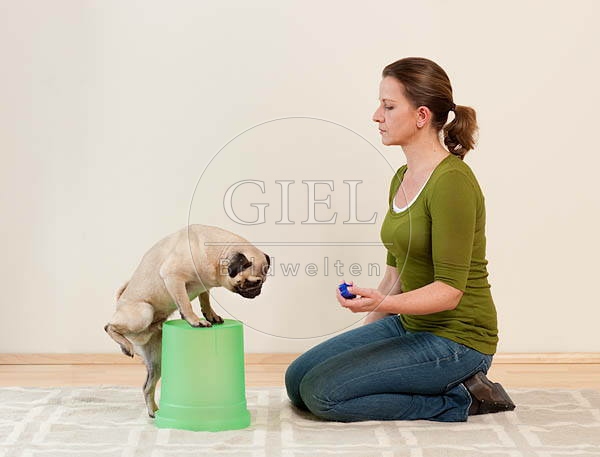 040020 Frau und Mops