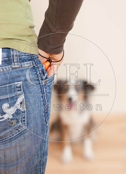 040171 Frau und Mini Australian Shepherd