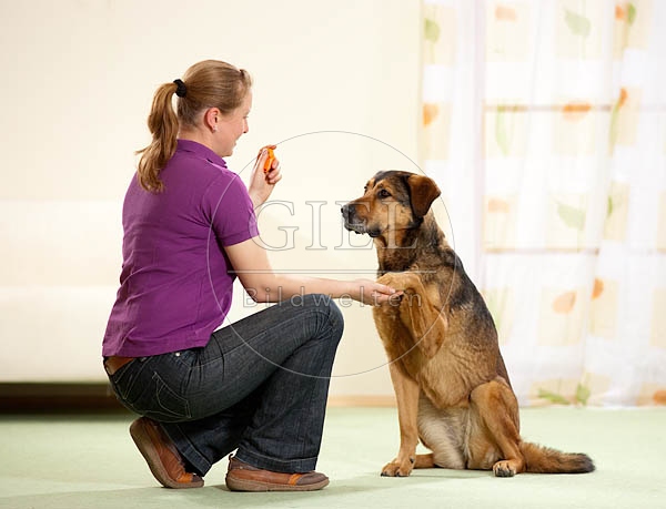 040289 Frau und Mischling