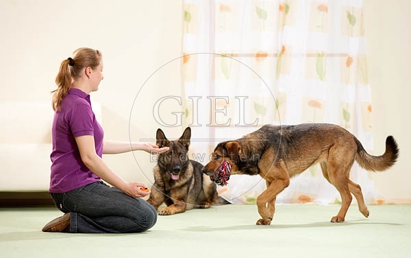 040292 Frau und Mischling