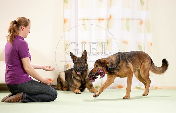 040294 Frau und Mischling