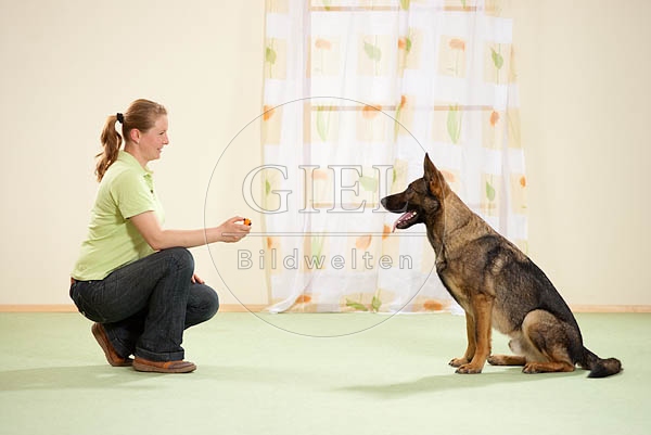 040298 Frau und Schaeferhund