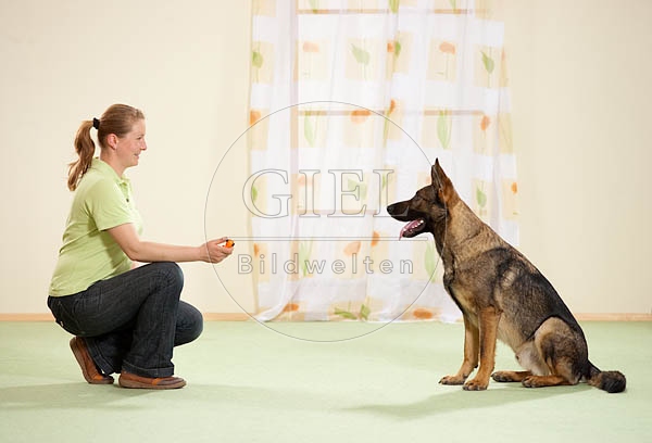 040299 Frau und Schaeferhund