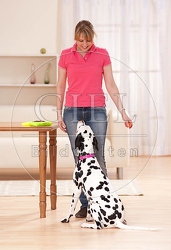 040386 Frau und Dalmatiner
