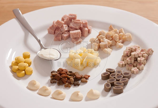 043925 Katzenleckerchen