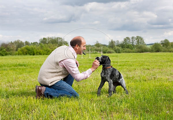 044798 Mann und Deutsch Drahthaar Welpe