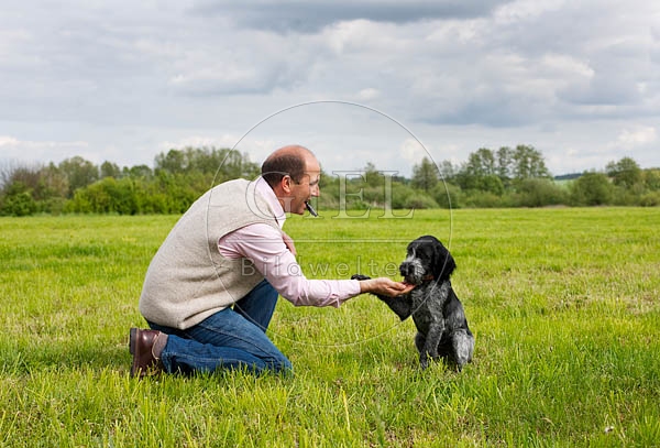 044799 Mann und Deutsch Drahthaar Welpe