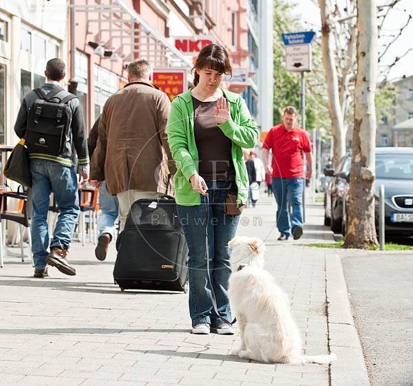 044814 Frau und Border Collie Welpe in der Stadt