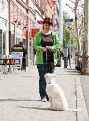 044816 Frau und Border Collie Welpe in der Stadt