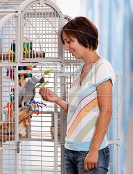 045305 Frau und Kongo Graupapagei