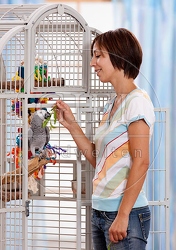 045307 Frau und Kongo Graupapagei