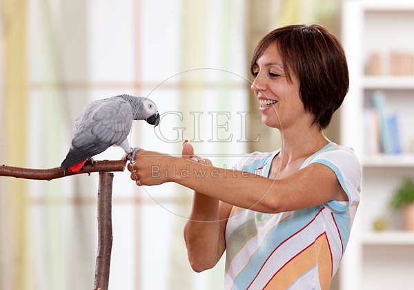 045329 Frau und Kongo Graupapagei