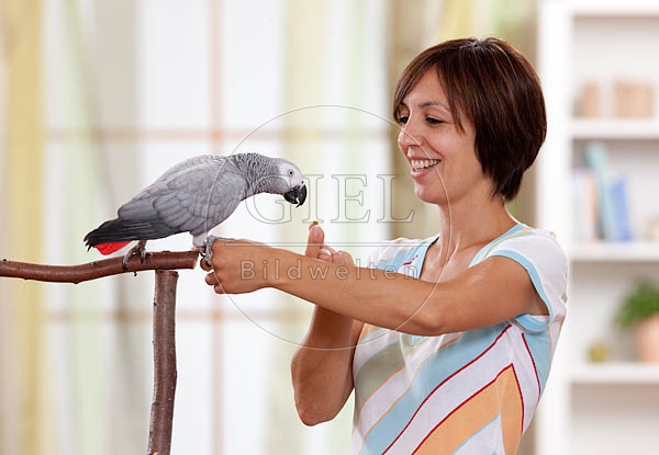 045330 Frau und Kongo Graupapagei