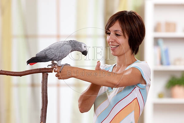 045331 Frau und Kongo Graupapagei