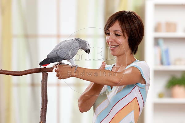 045332 Frau und Kongo Graupapagei