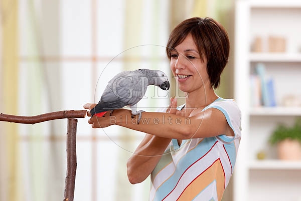 045333 Frau und Kongo Graupapagei