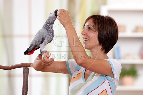 045335 Frau und Kongo Graupapagei