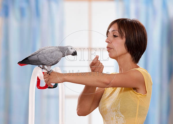 045415 Frau und Kongo Graupapagei