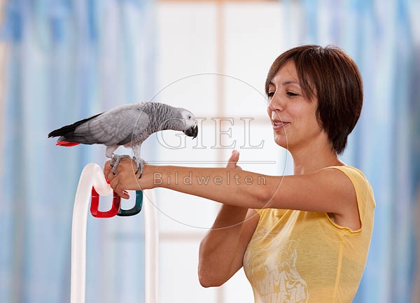045416 Frau und Kongo Graupapagei