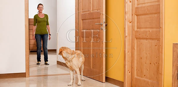 046382 Frau und Labrador Retriever