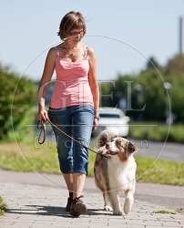 053379 Frau und Australian Shepherd