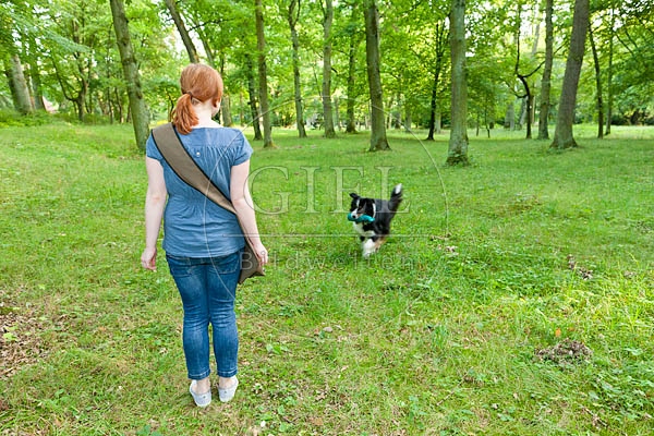053973 junge Frau und Australian Shepherd